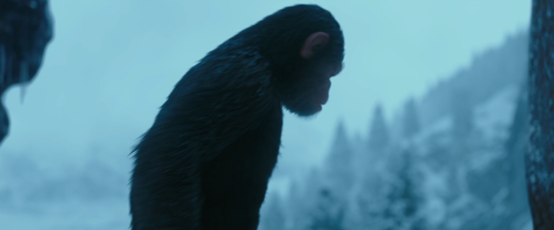 War for the Planet of the Apes (2017) screencap 6885