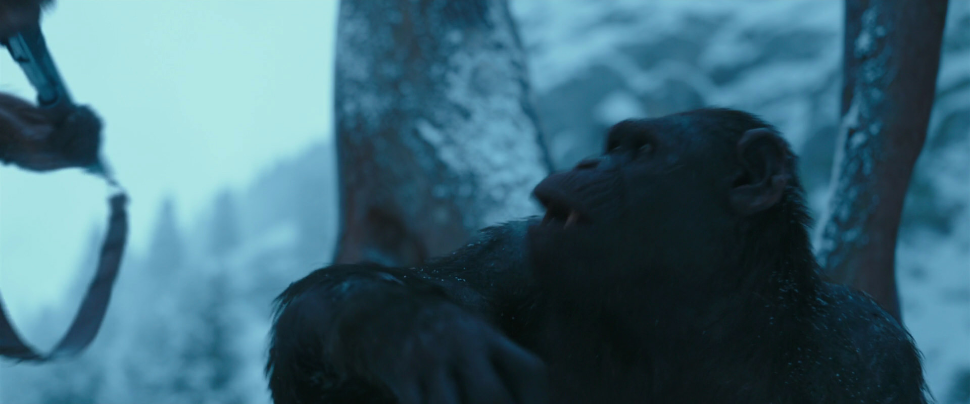 War for the Planet of the Apes (2017) movie still 6886