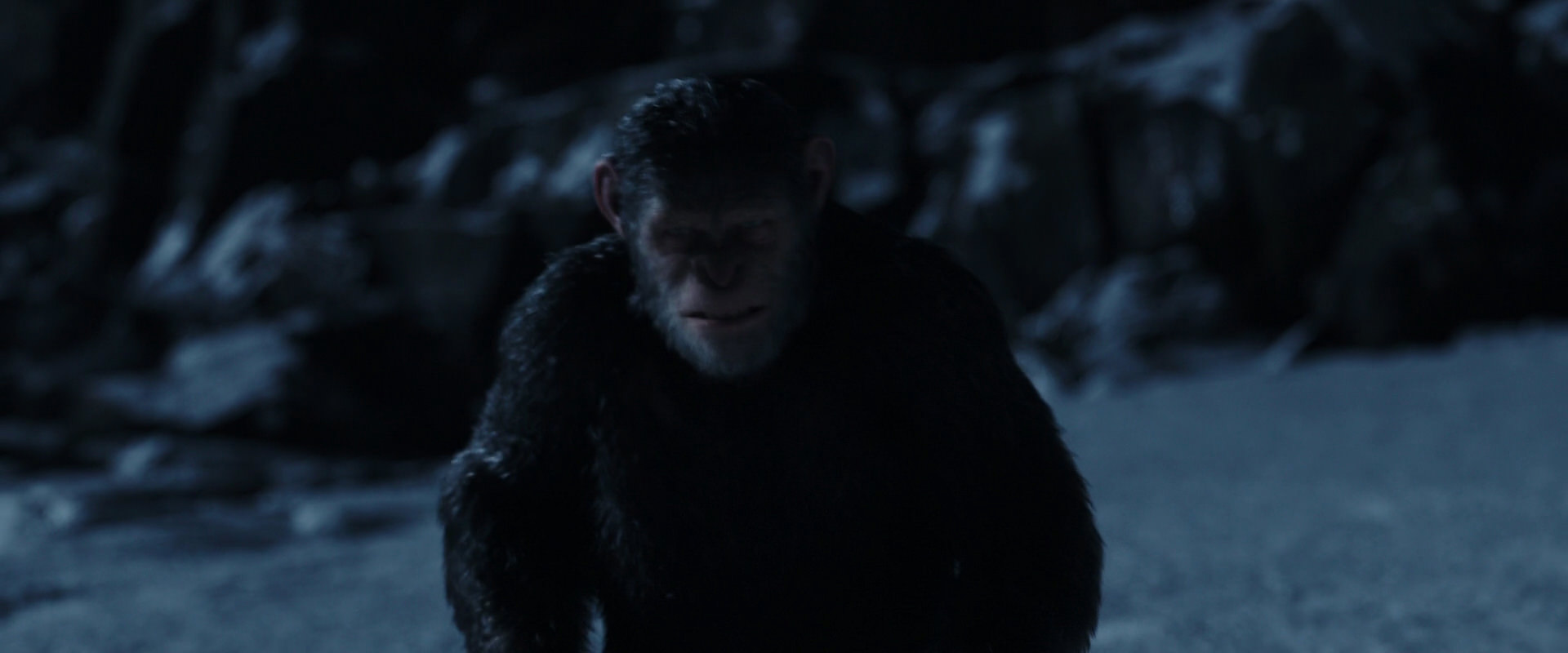 War for the Planet of the Apes (2017) screencap 6915