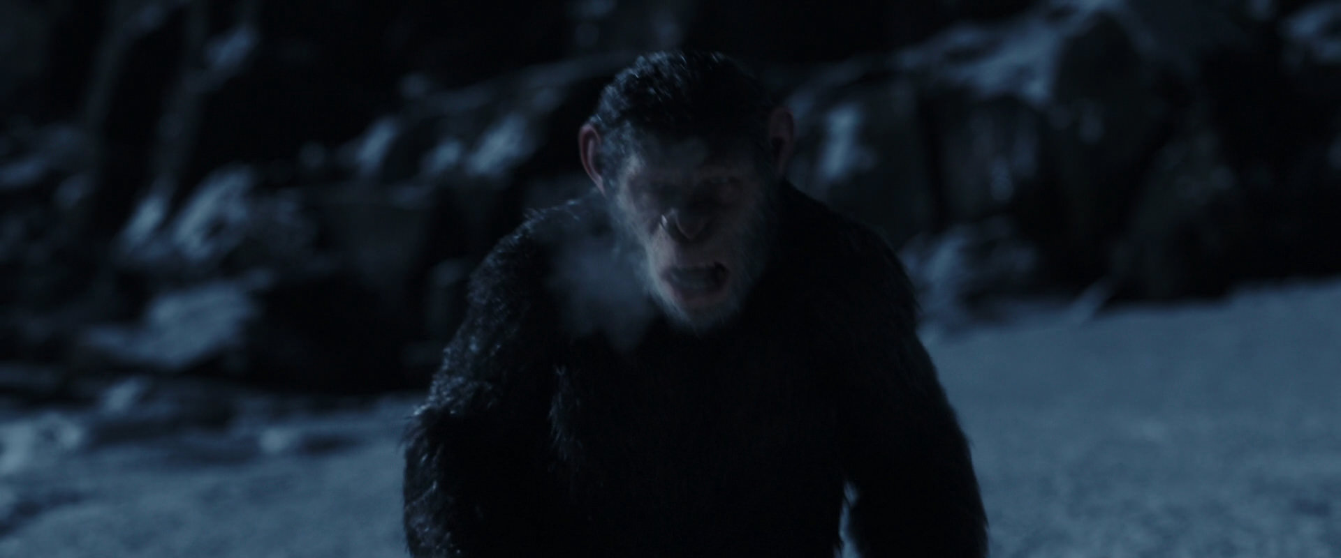 War for the Planet of the Apes (2017) movie still 6916