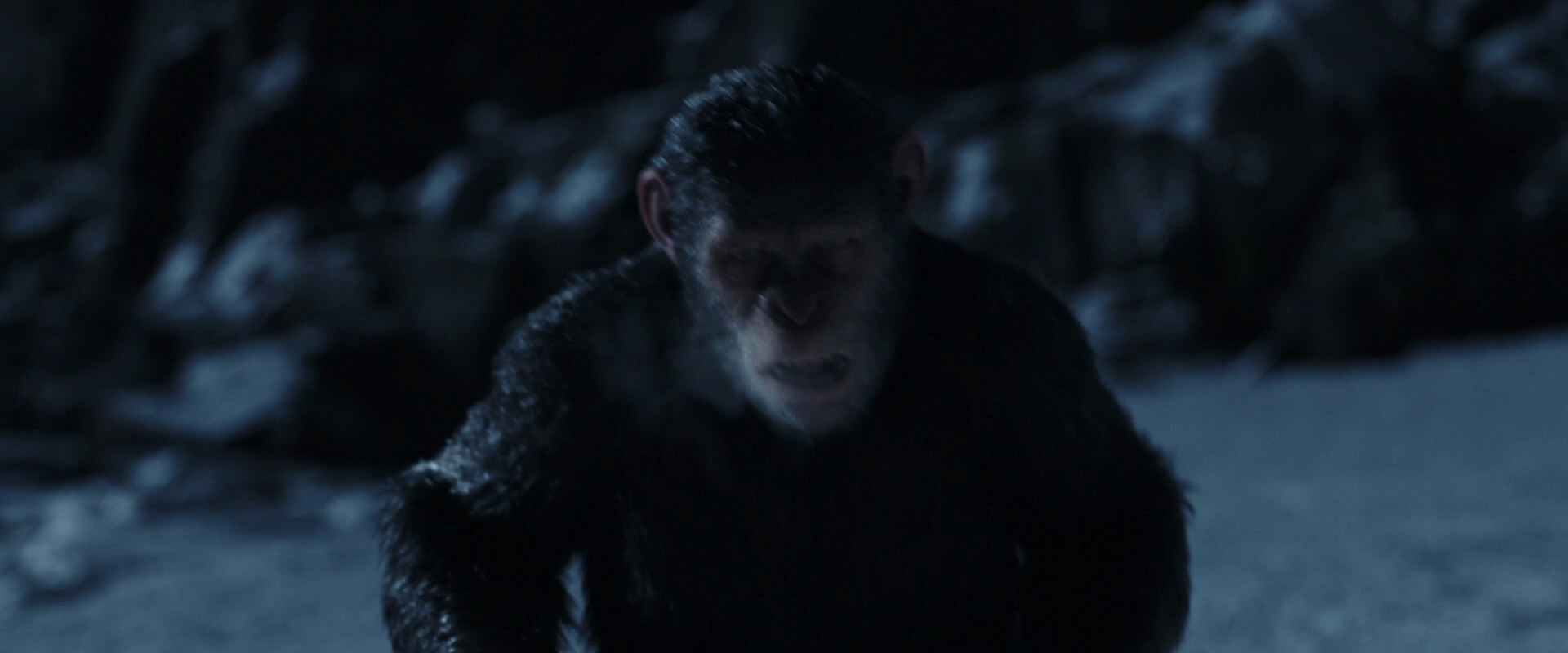 War for the Planet of the Apes (2017) screencap 6918