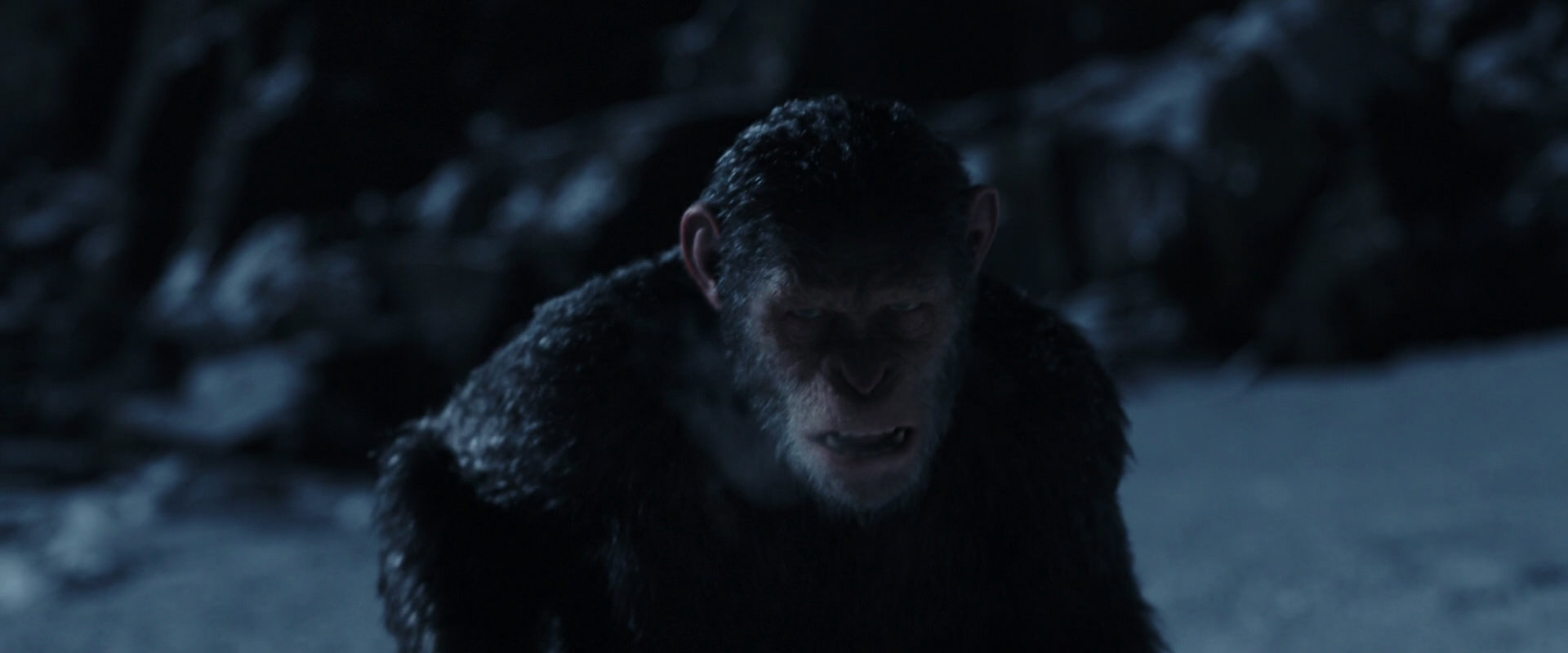 War for the Planet of the Apes (2017) movie still 6919