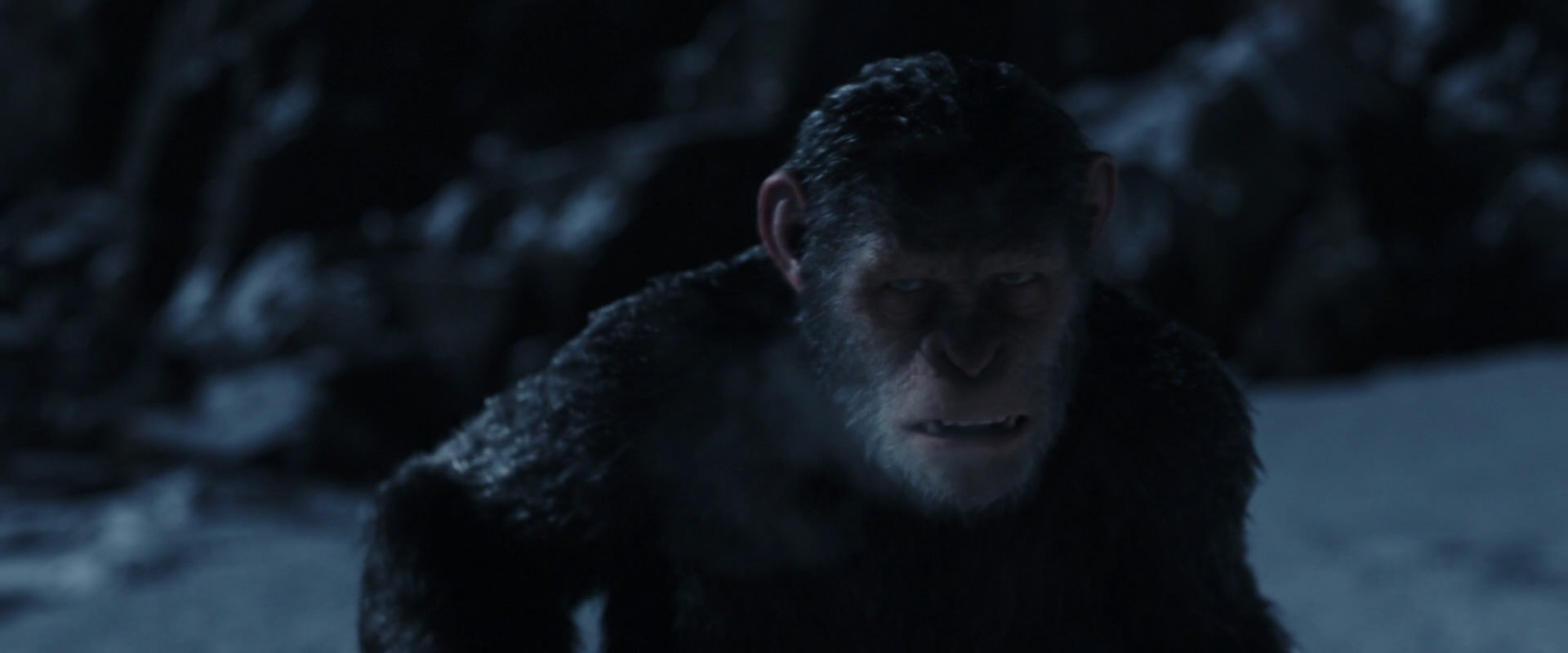War for the Planet of the Apes (2017) screencap 6921