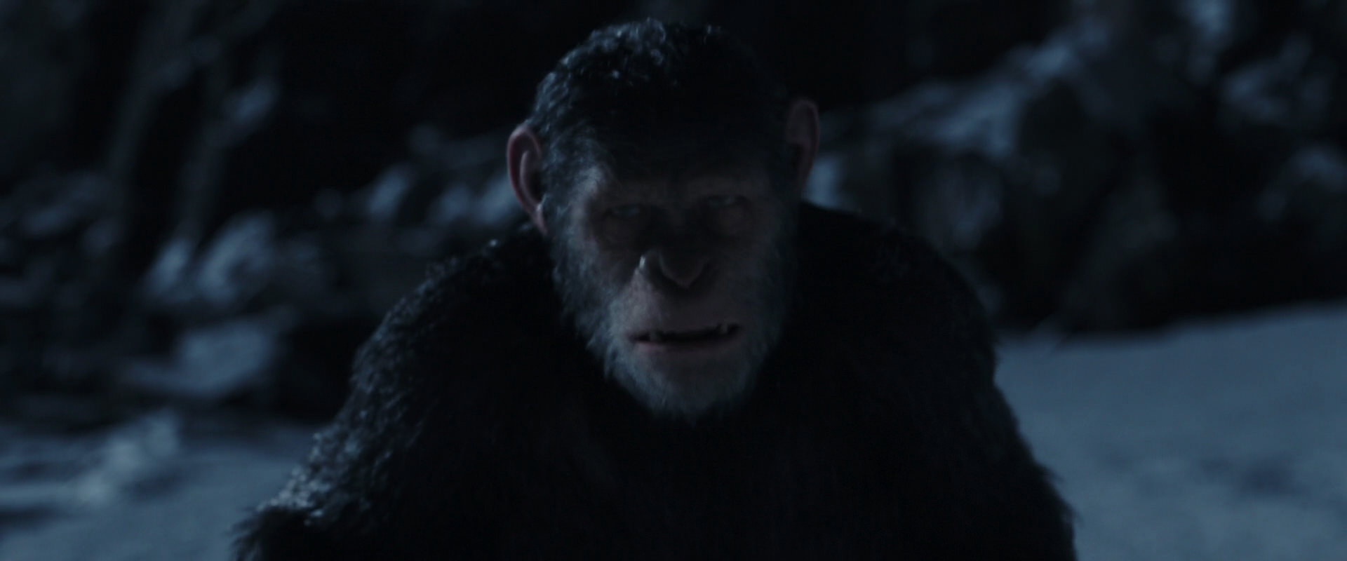 War for the Planet of the Apes (2017) movie still 6922
