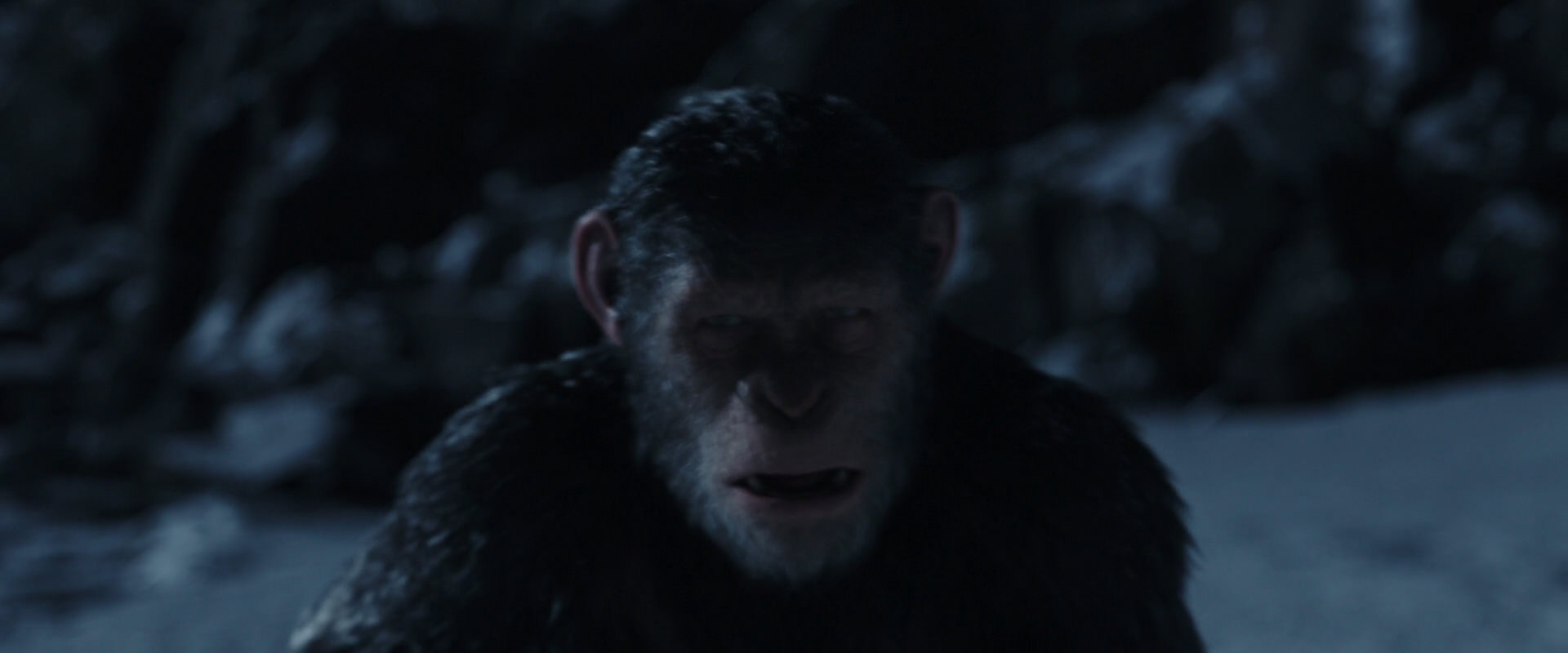 War for the Planet of the Apes (2017) screencap 6924