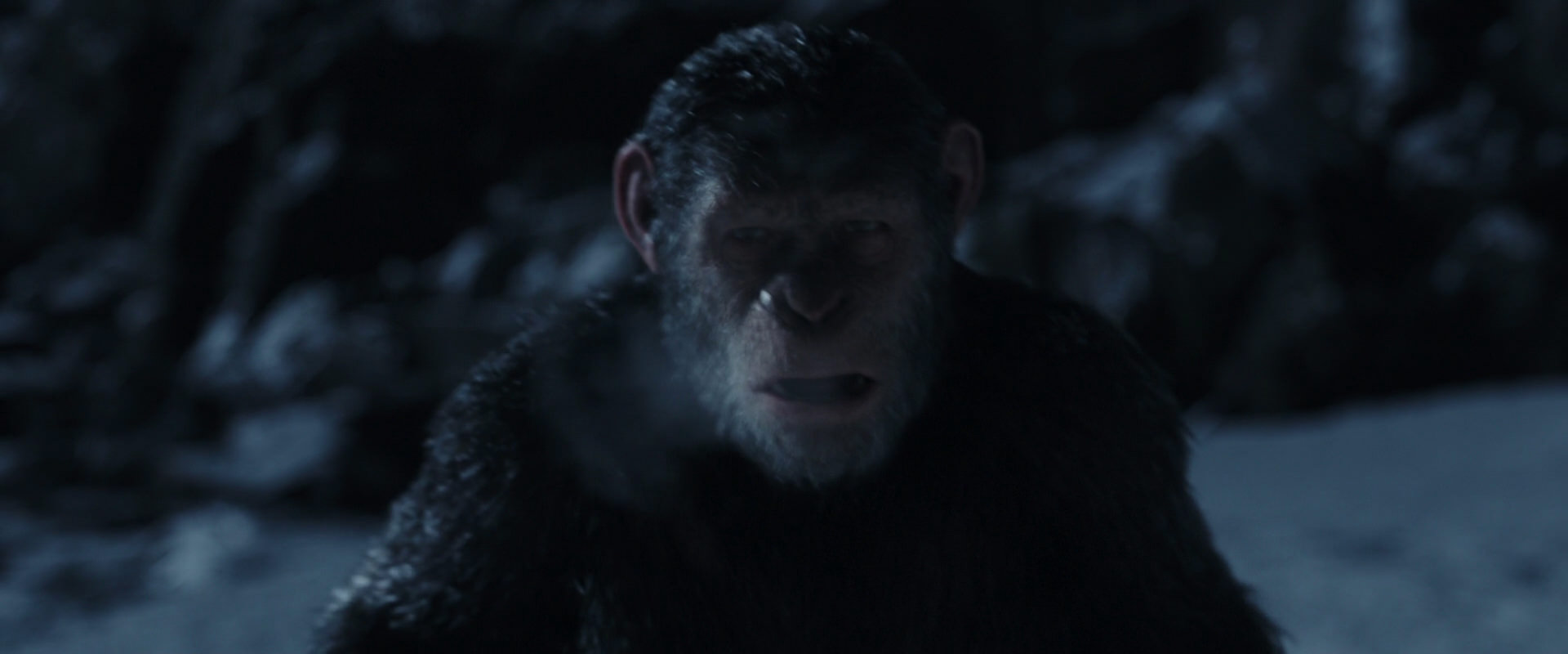 War for the Planet of the Apes (2017) movie still 6925