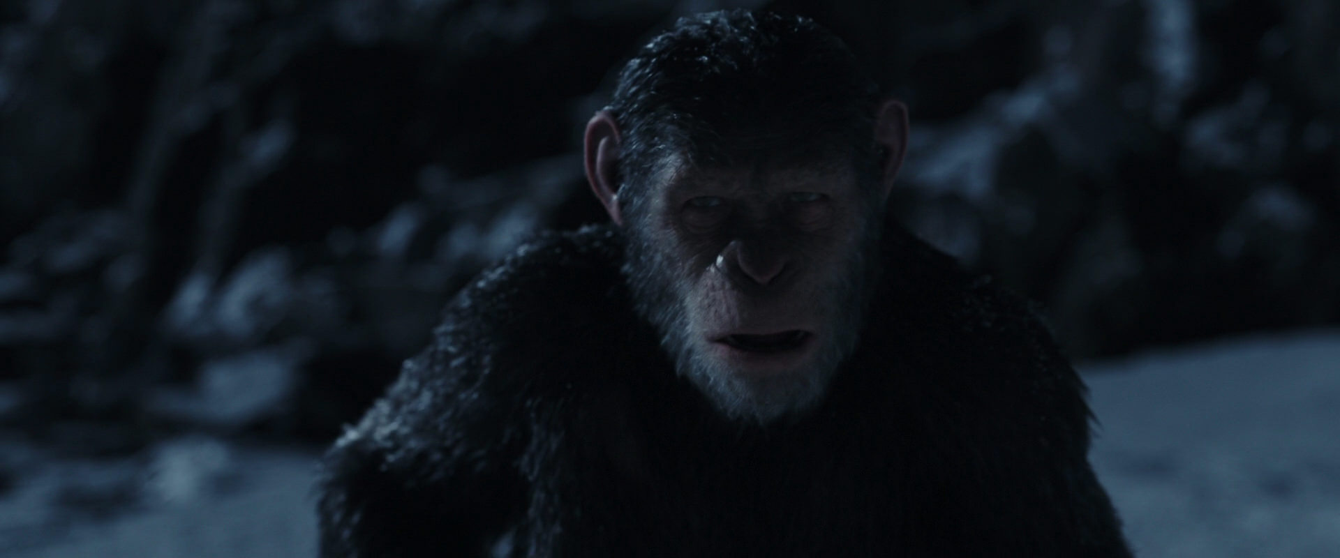 War for the Planet of the Apes (2017) HD screenshot 6926