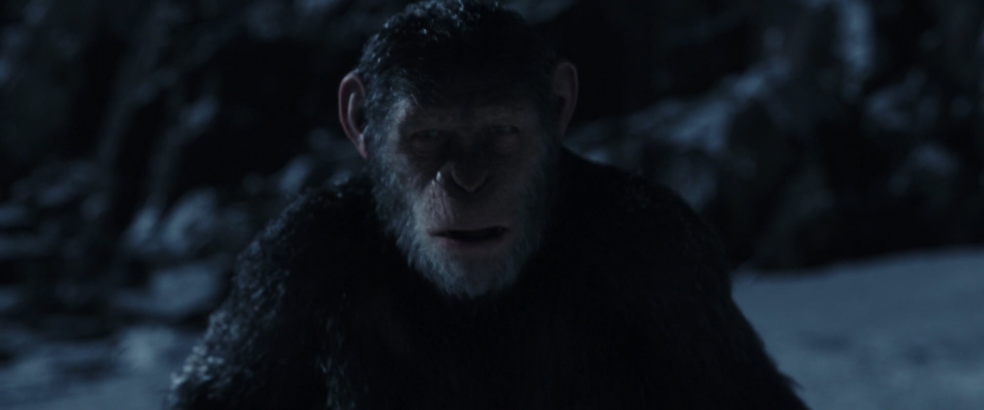 War for the Planet of the Apes (2017) screencap 6927