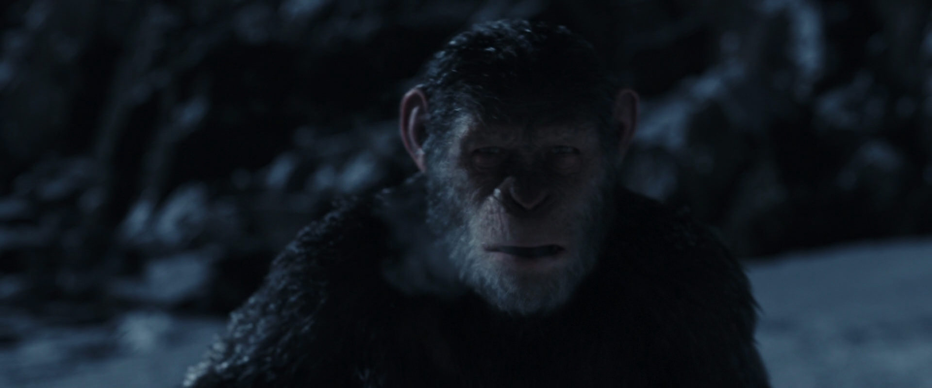 War for the Planet of the Apes (2017) movie still 6928