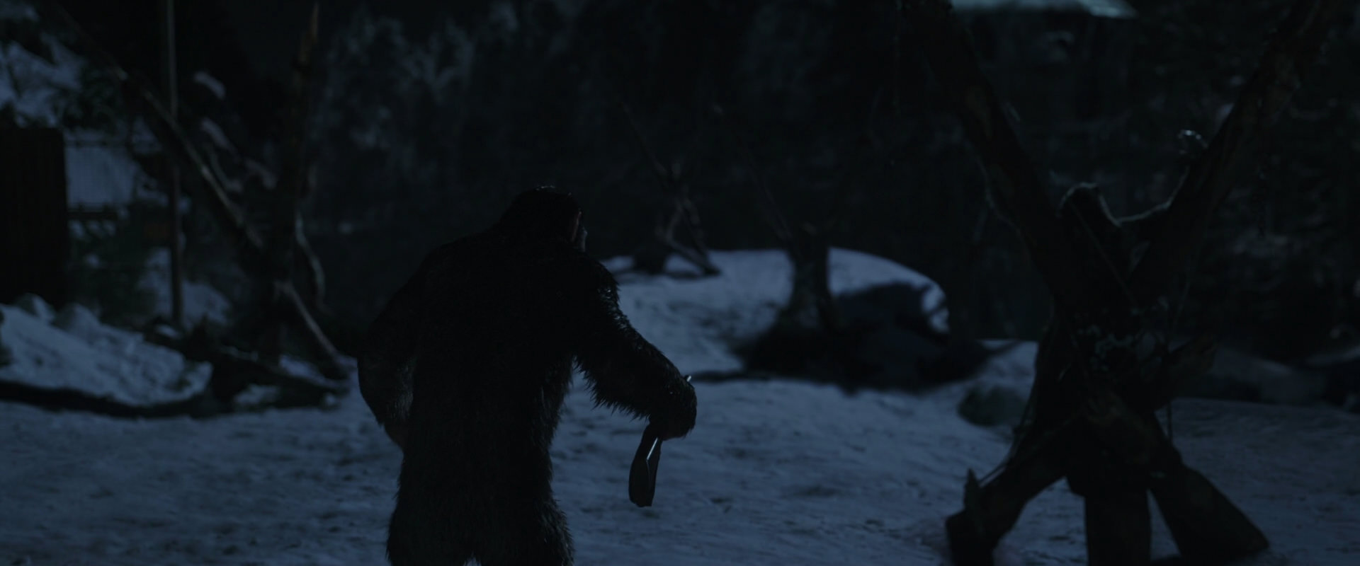 War for the Planet of the Apes (2017) movie still 6940
