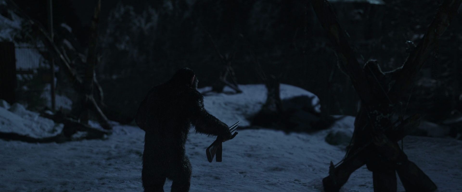 War for the Planet of the Apes (2017) screencap 6942