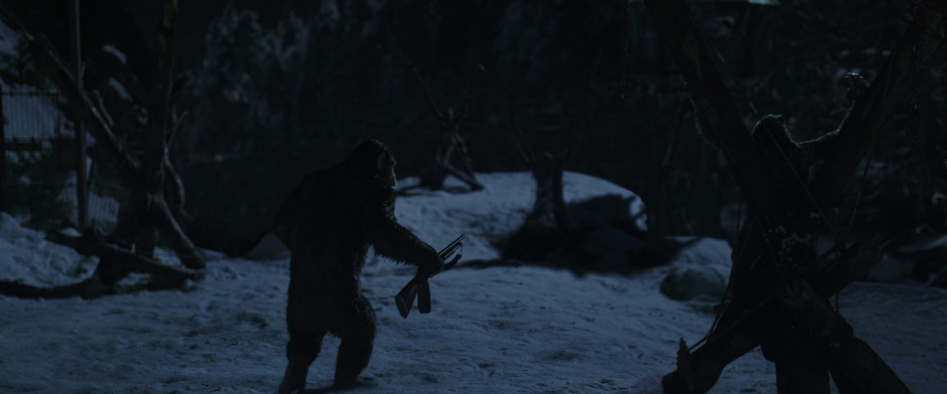 War for the Planet of the Apes (2017) screencap 6945