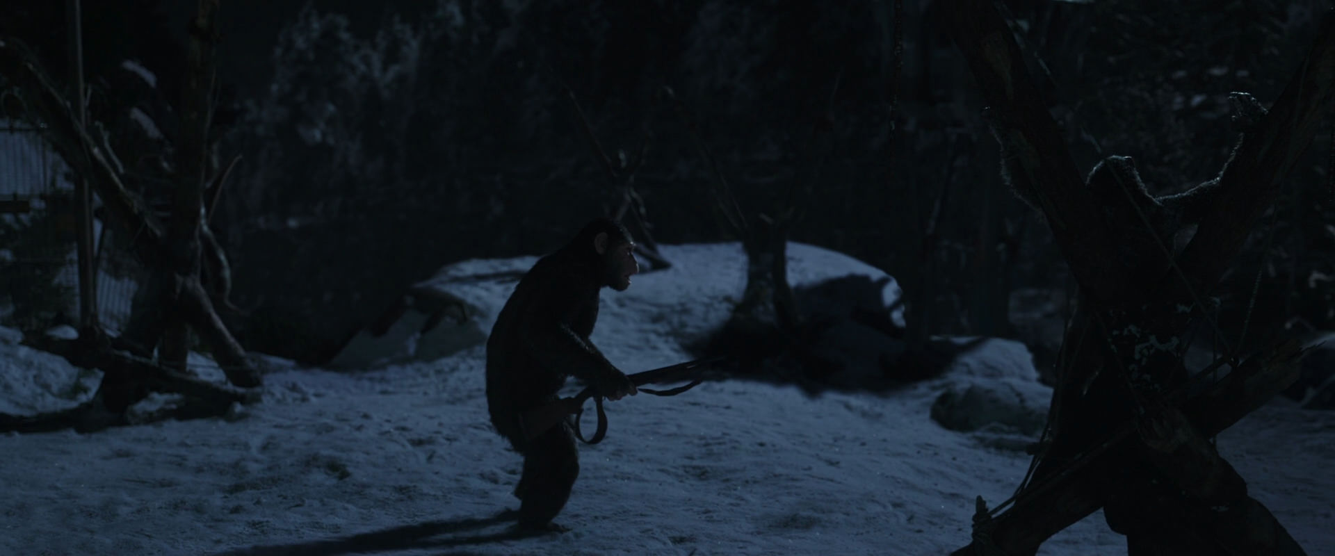 War for the Planet of the Apes (2017) screencap 6948