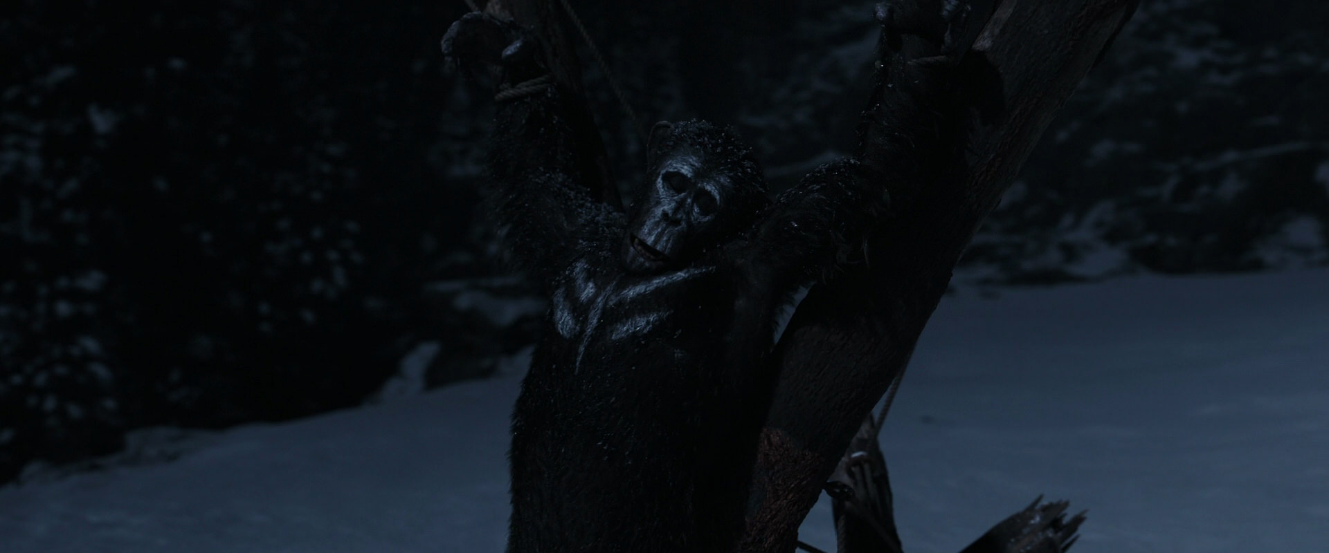 War for the Planet of the Apes (2017) HD screenshot 6950