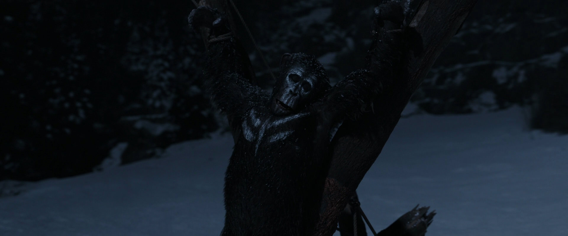 War for the Planet of the Apes (2017) screencap 6951
