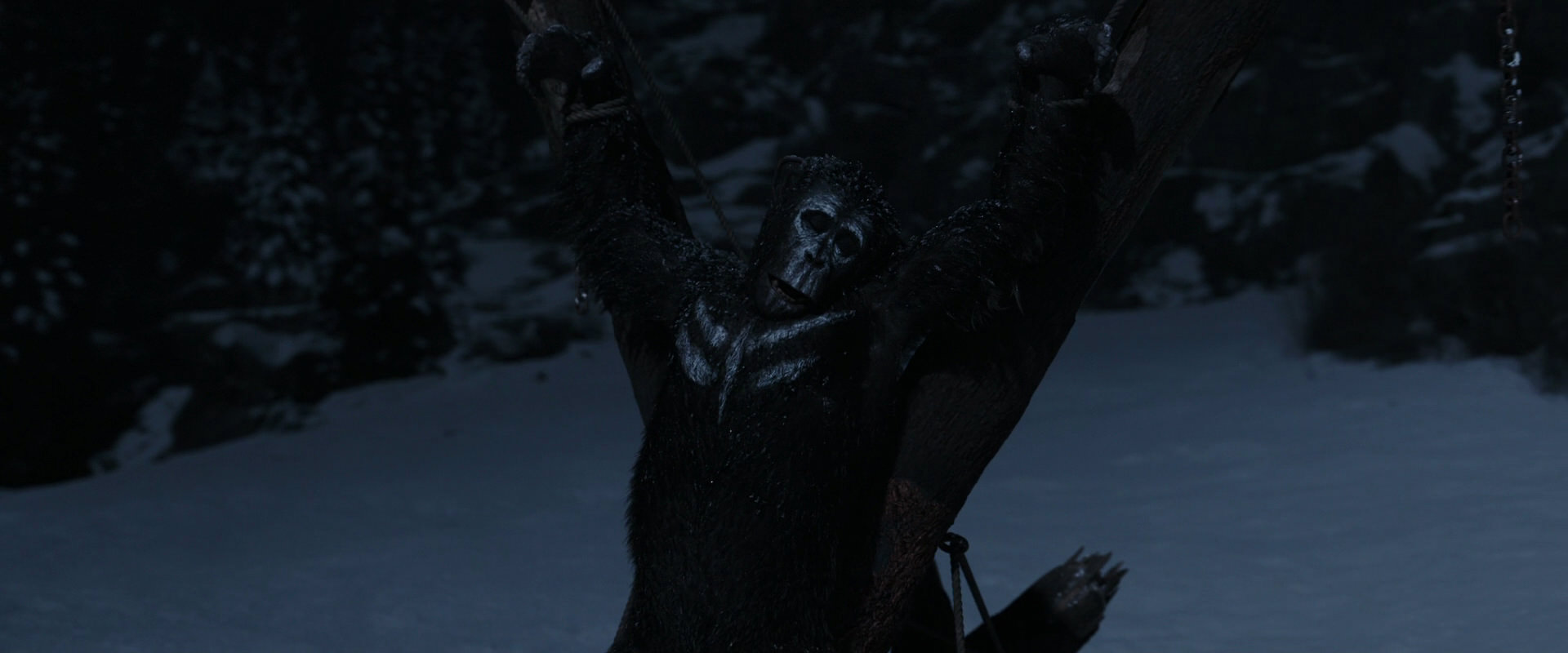 War for the Planet of the Apes (2017) movie still 6952