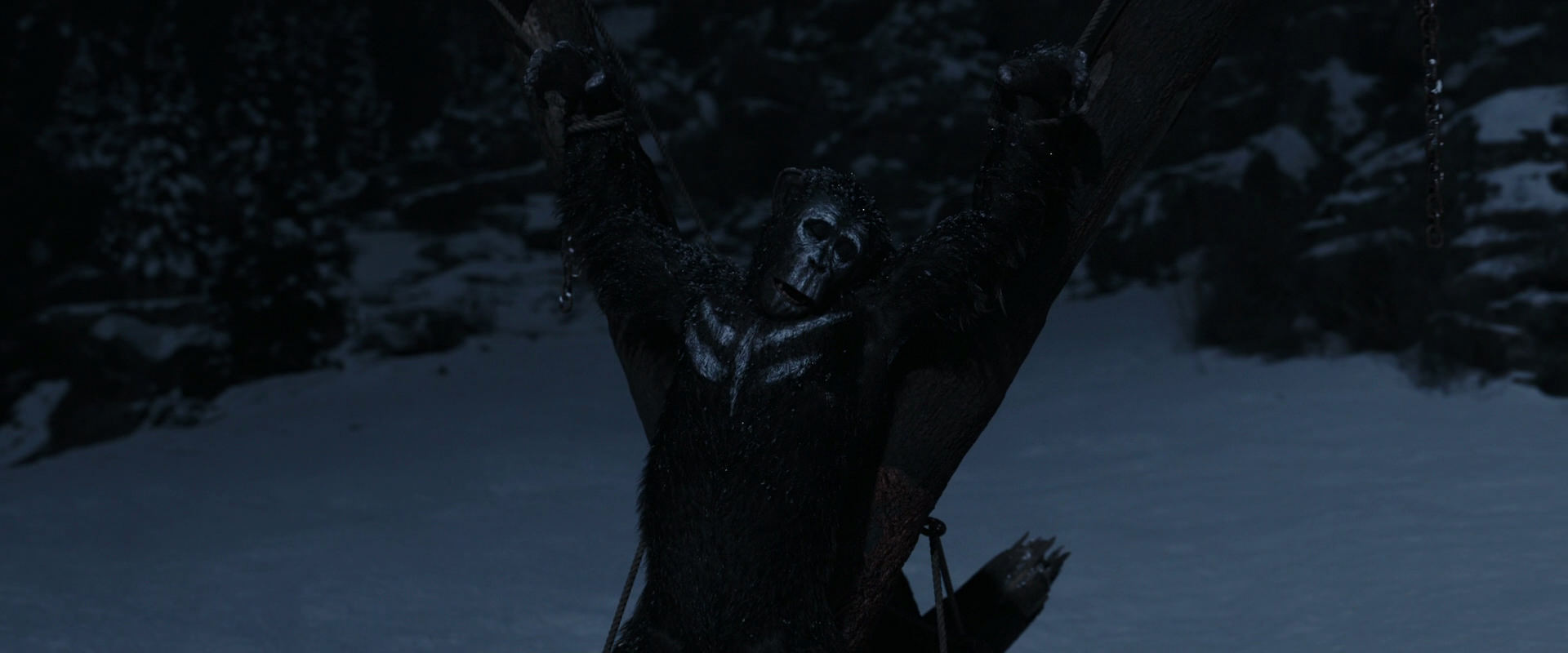 War for the Planet of the Apes (2017) HD screenshot 6953