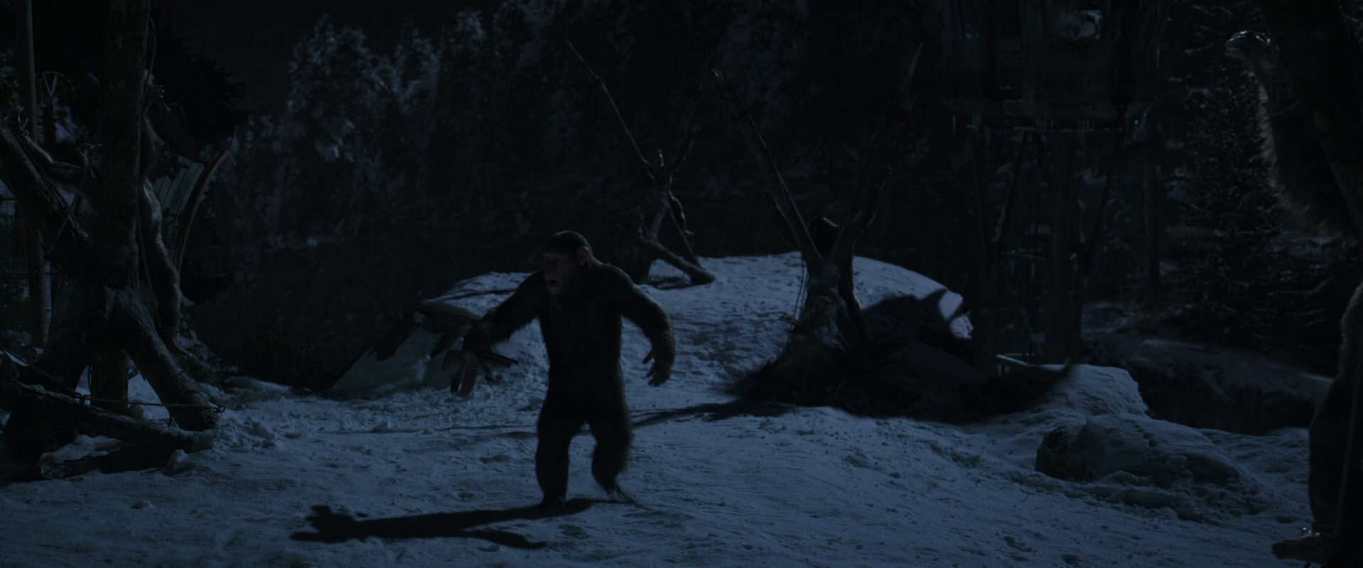 War for the Planet of the Apes (2017) movie still 6955