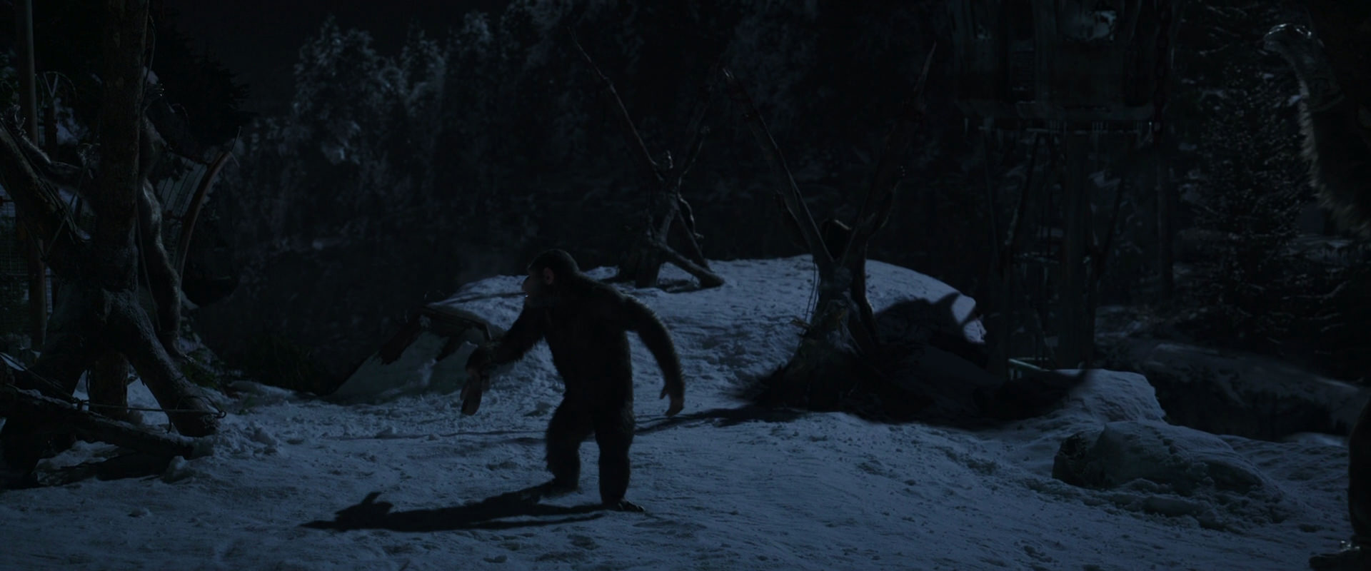 War for the Planet of the Apes (2017) HD screenshot 6956