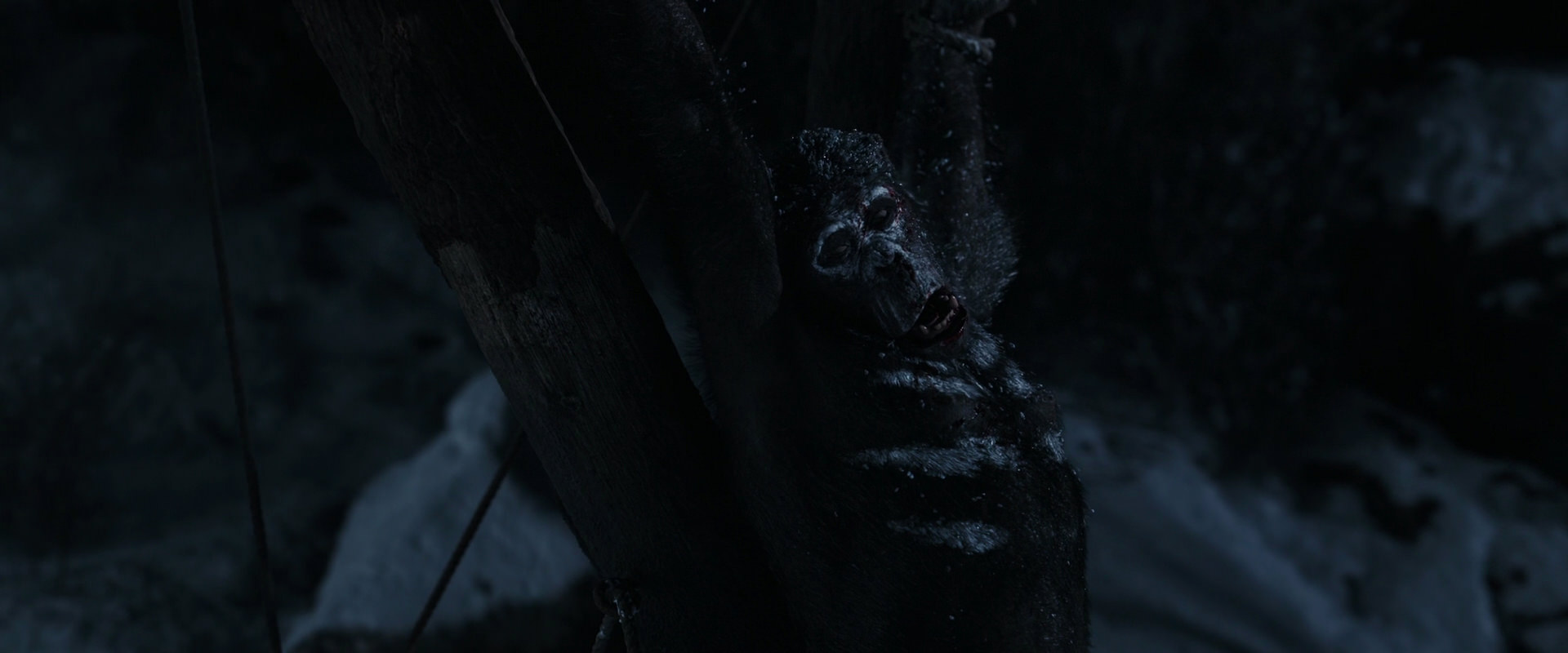 War for the Planet of the Apes (2017) screencap 6957