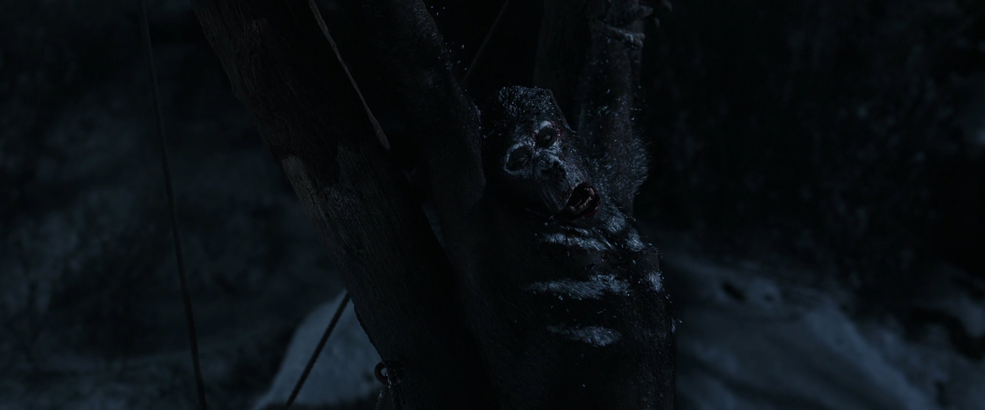 War for the Planet of the Apes (2017) movie still 6958