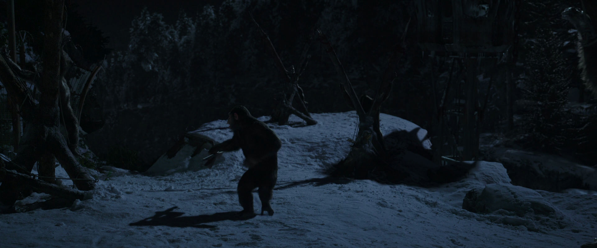 War for the Planet of the Apes (2017) screencap 6960