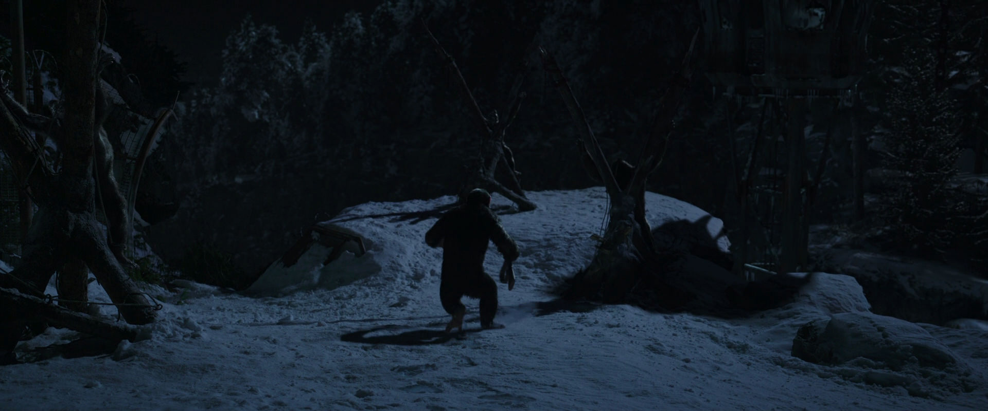 War for the Planet of the Apes (2017) screencap 6963