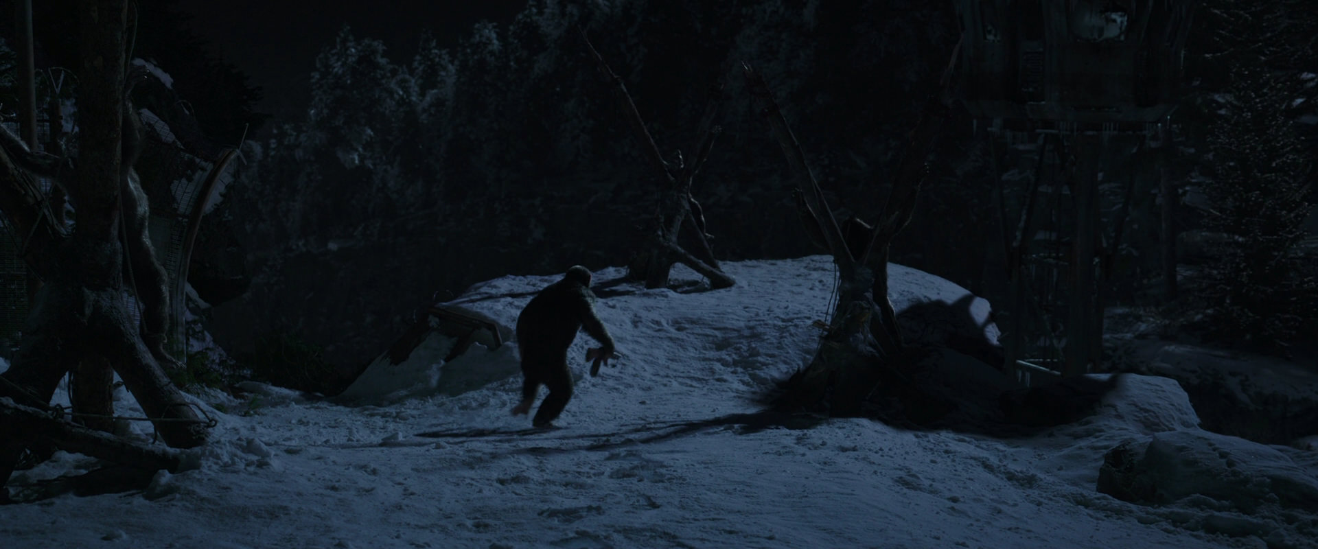 War for the Planet of the Apes (2017) screencap 6966