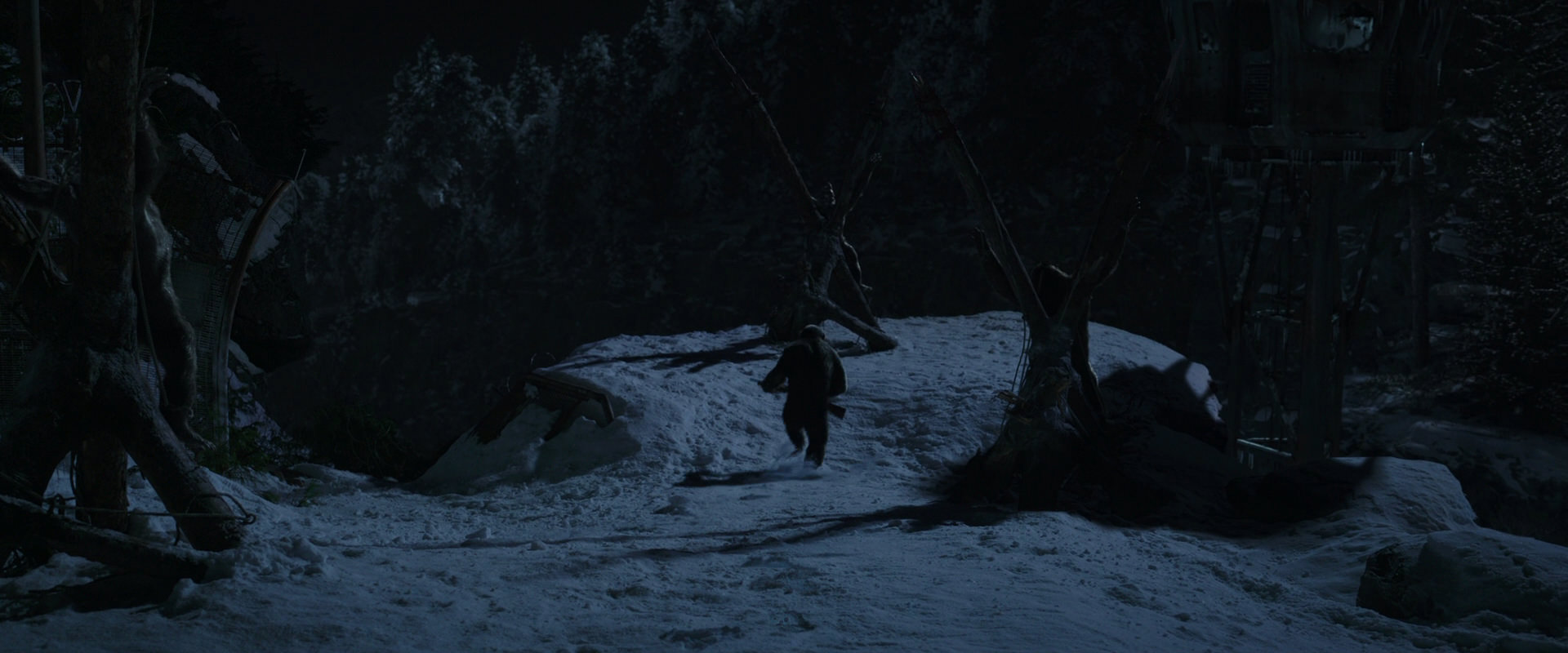 War for the Planet of the Apes (2017) screencap 6969