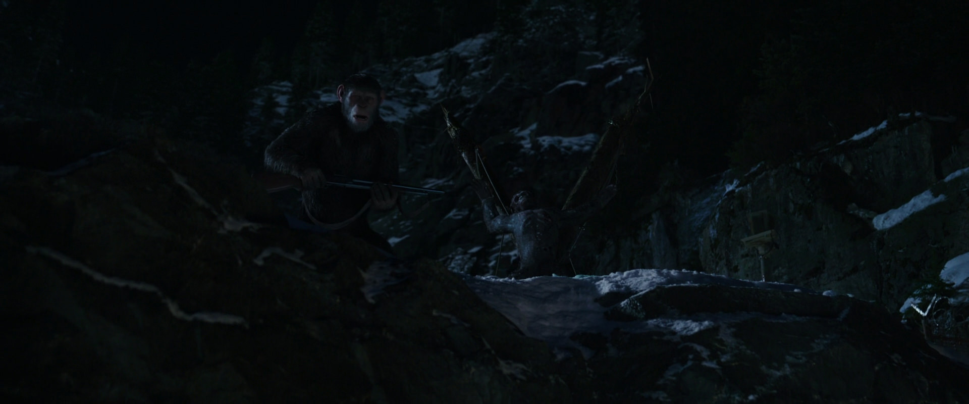 War for the Planet of the Apes (2017) screencap 6975