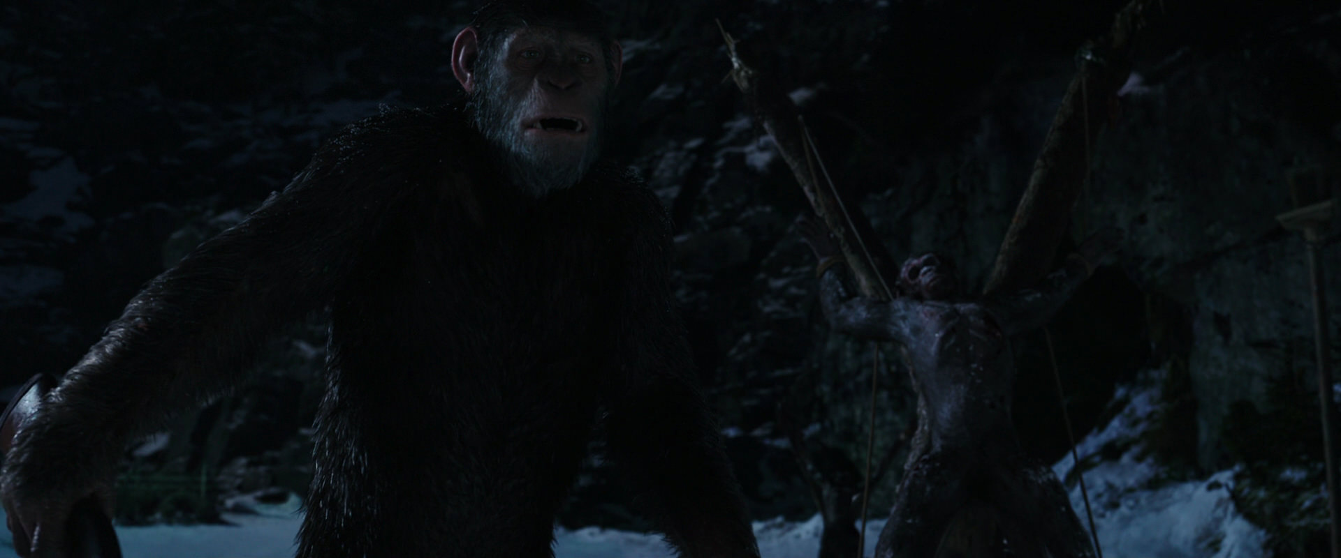 War for the Planet of the Apes (2017) screencap 6990