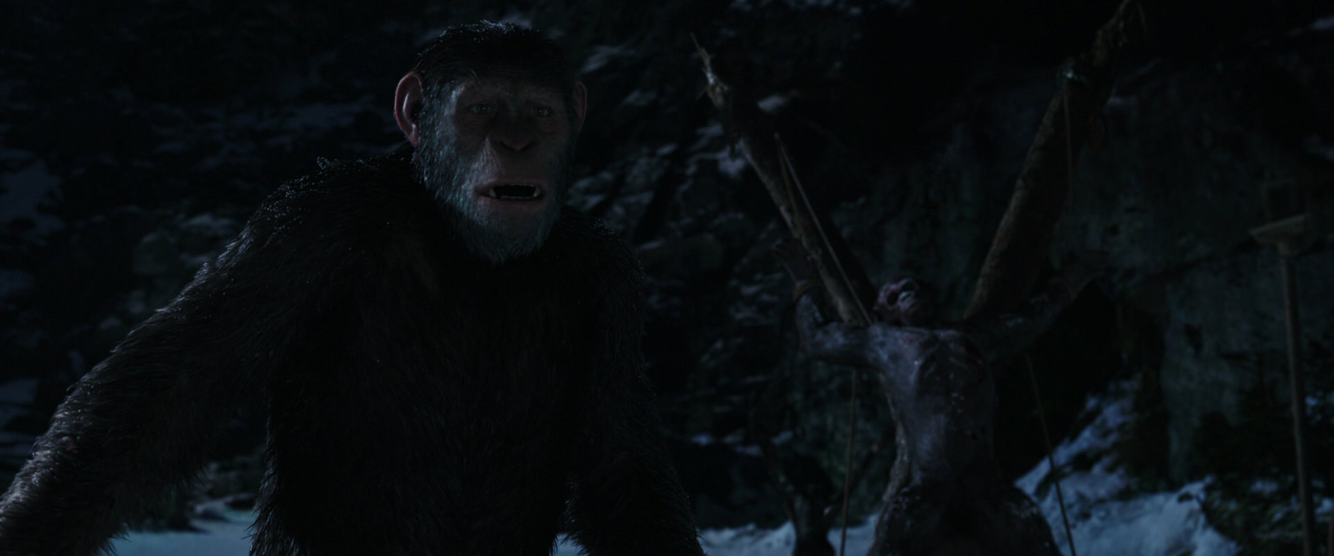 War for the Planet of the Apes (2017) screencap 6993