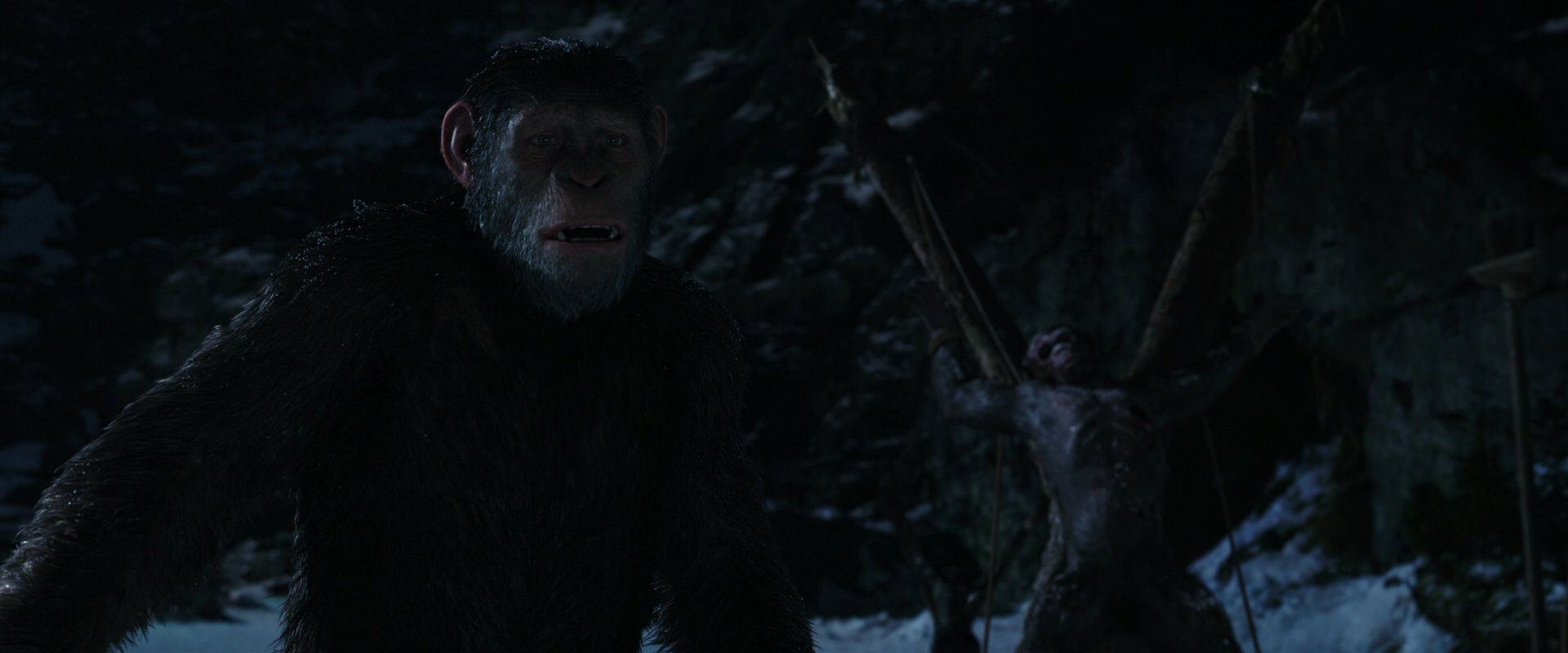 War for the Planet of the Apes (2017) movie still 6994