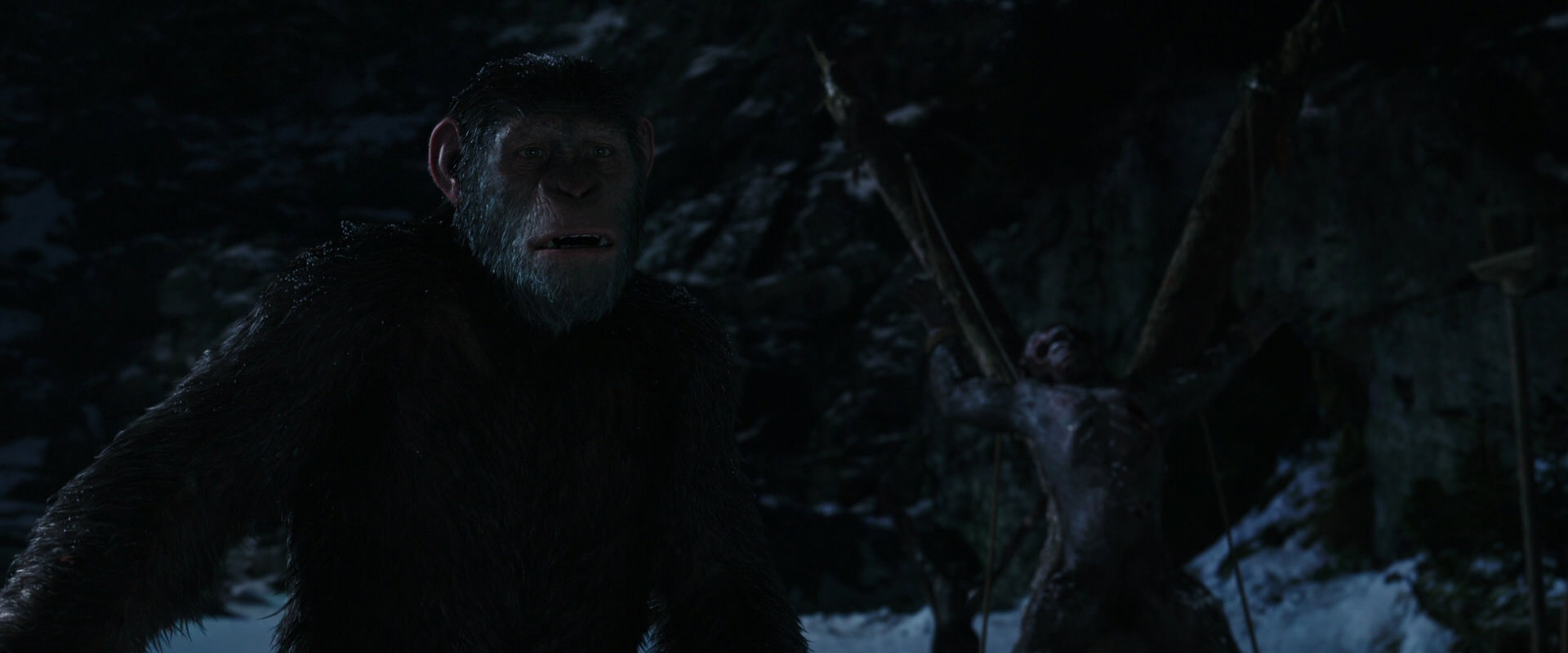 War for the Planet of the Apes (2017) HD screenshot 6995