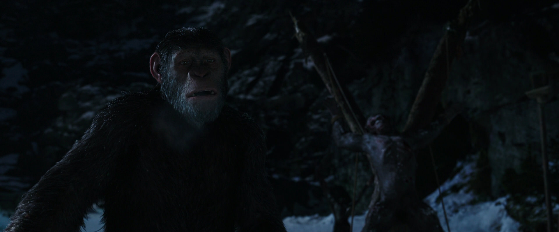 War for the Planet of the Apes (2017) screencap 6996