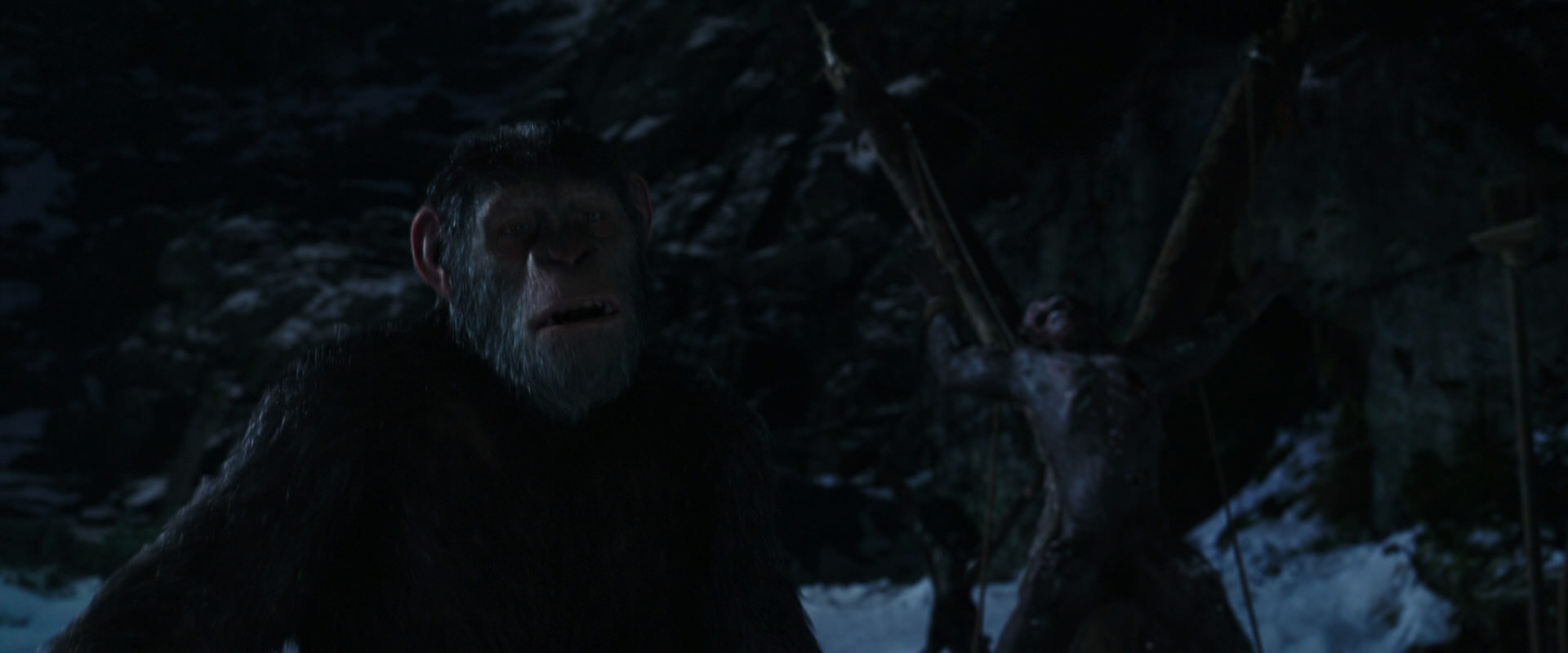 War for the Planet of the Apes (2017) movie still 6997