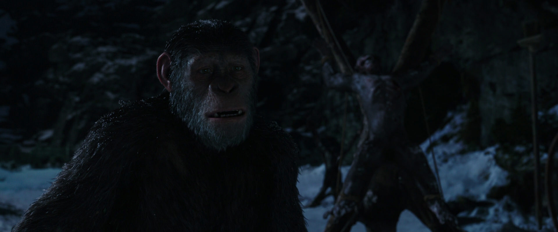 War for the Planet of the Apes (2017) screencap 6999