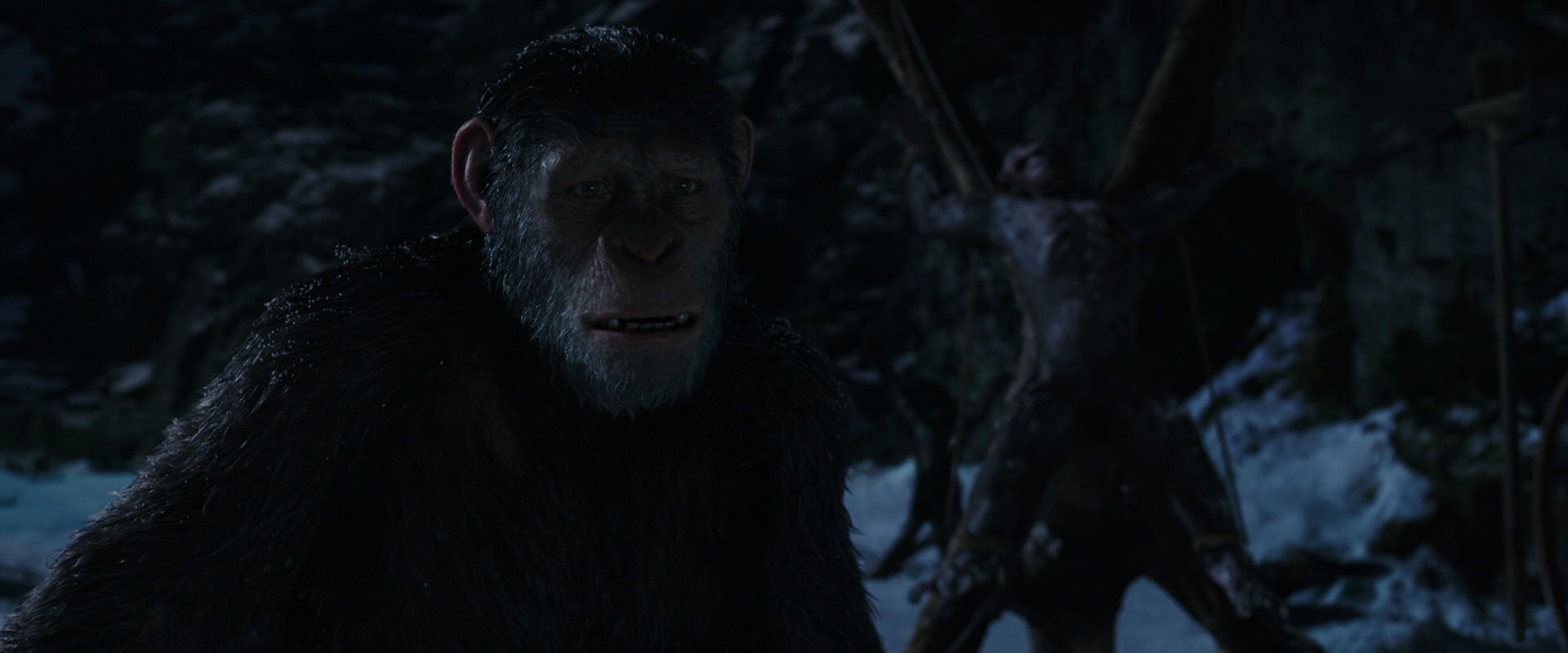 War for the Planet of the Apes (2017) movie still 7000