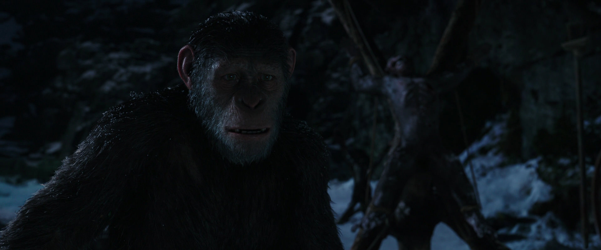 War for the Planet of the Apes (2017) HD screenshot 7001