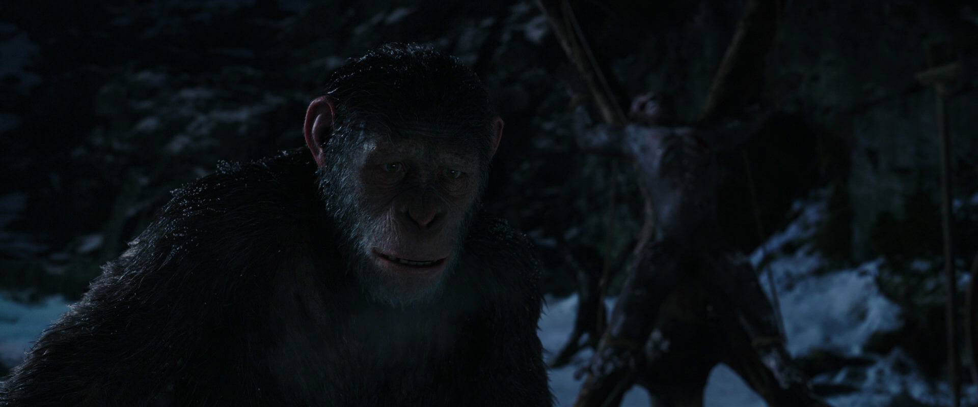 War for the Planet of the Apes (2017) HD screenshot 7004