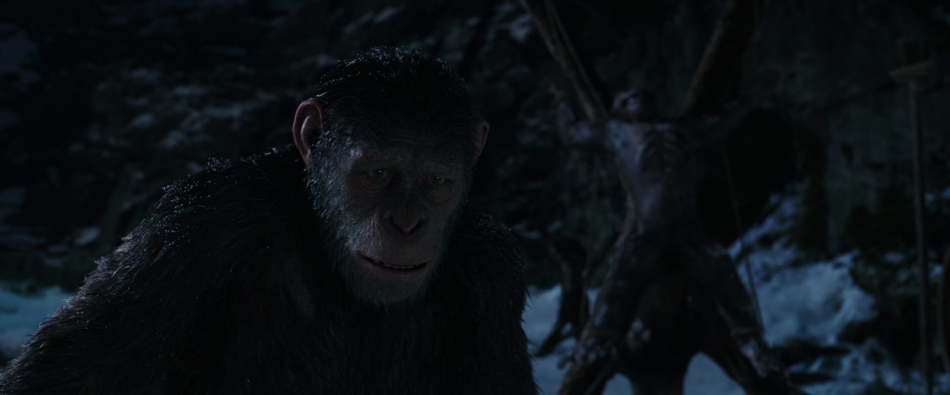War for the Planet of the Apes (2017) screencap 7005