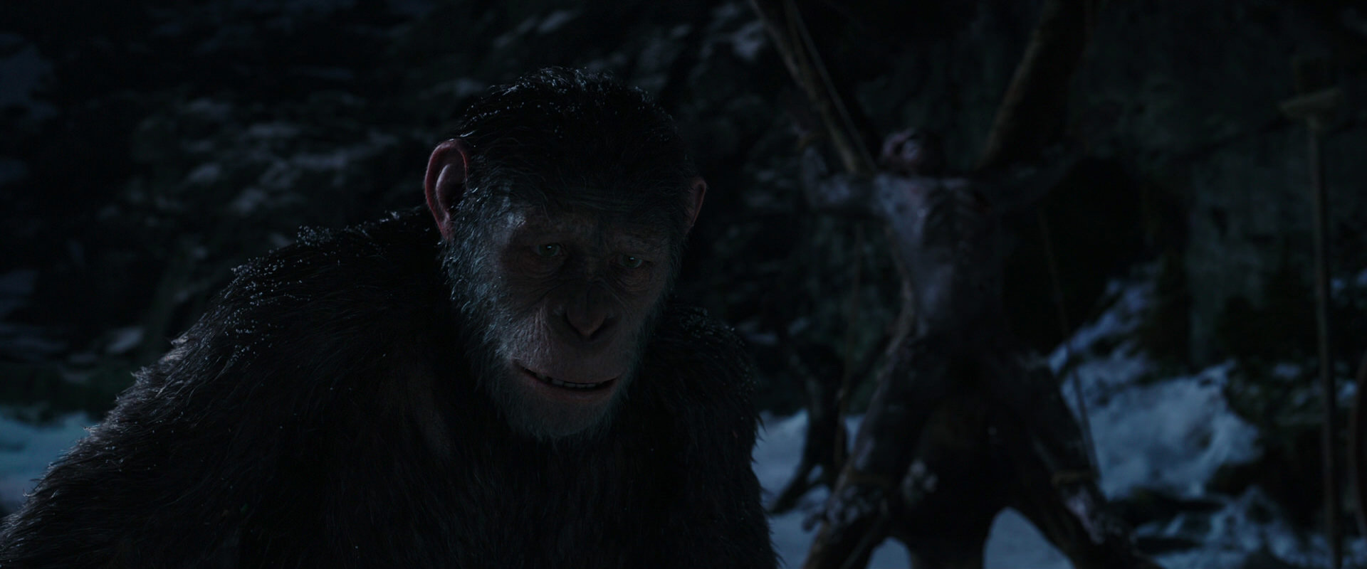 War for the Planet of the Apes (2017) movie still 7006