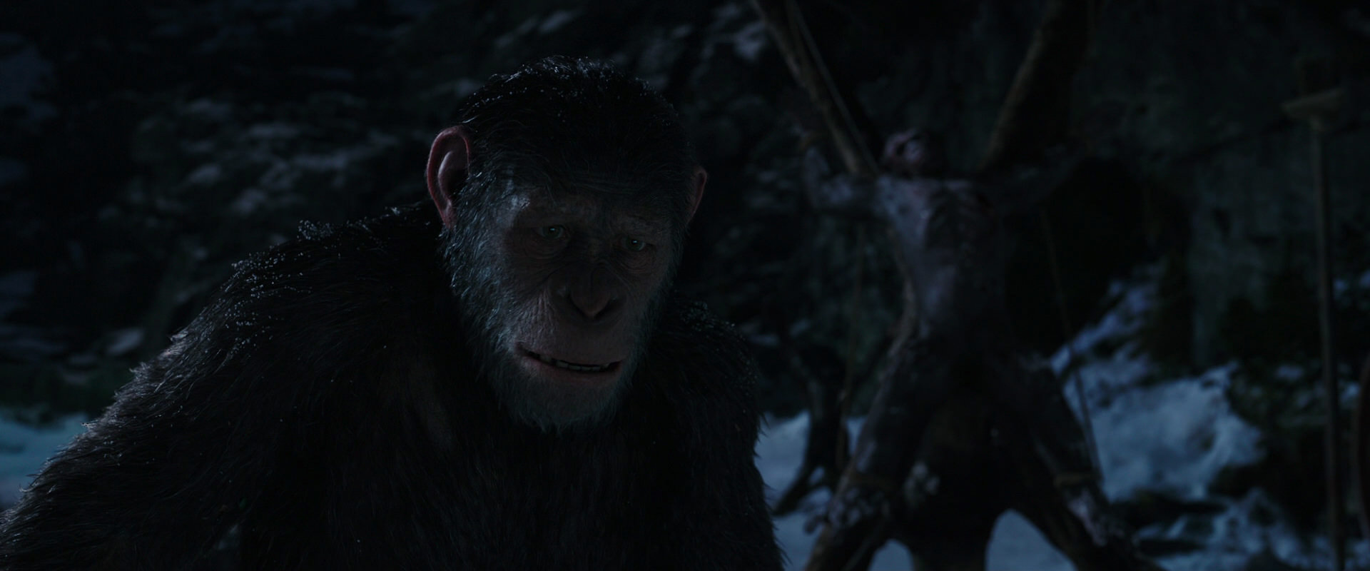 War for the Planet of the Apes (2017) HD screenshot 7007