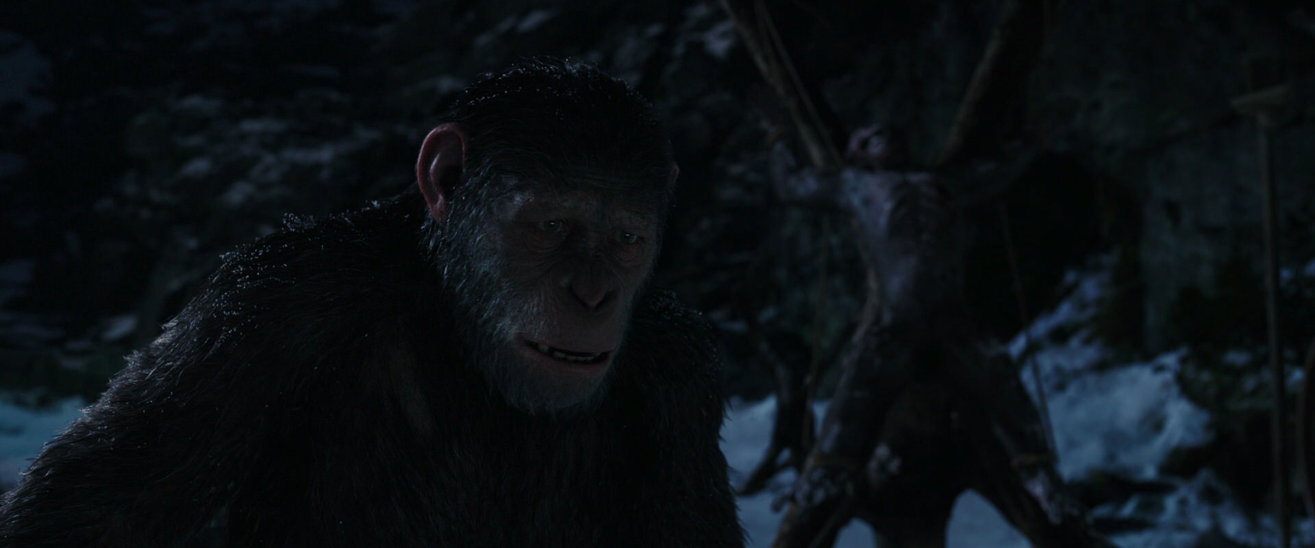 War for the Planet of the Apes (2017) screencap 7008