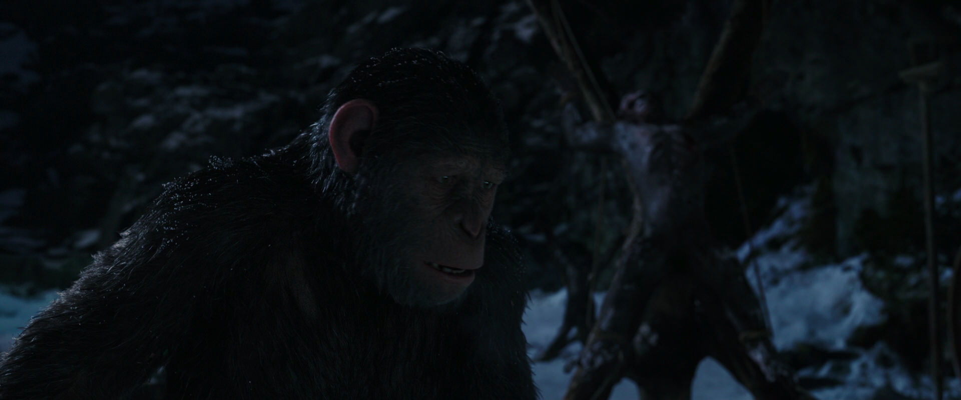 War for the Planet of the Apes (2017) movie still 7009