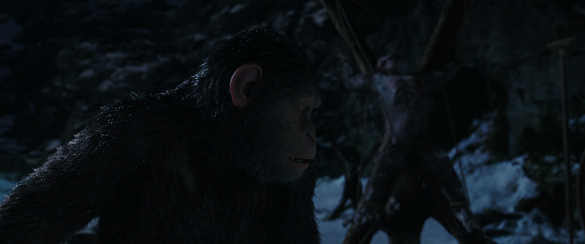 War for the Planet of the Apes (2017) HD screenshot 7010