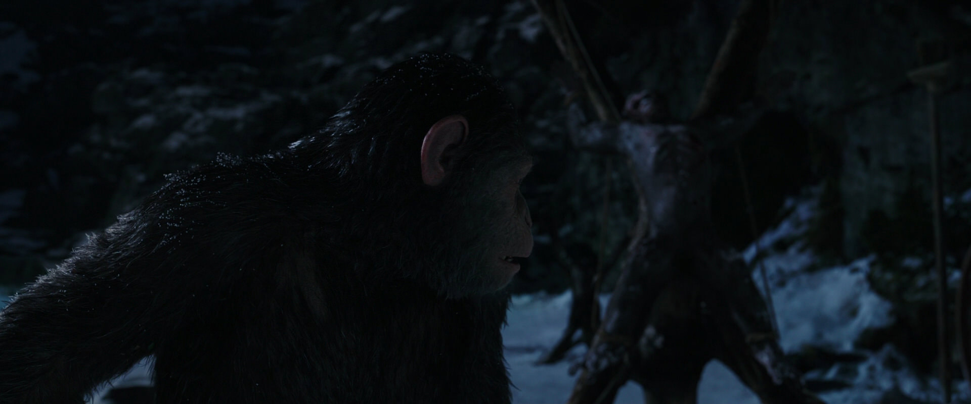 War for the Planet of the Apes (2017) screencap 7011