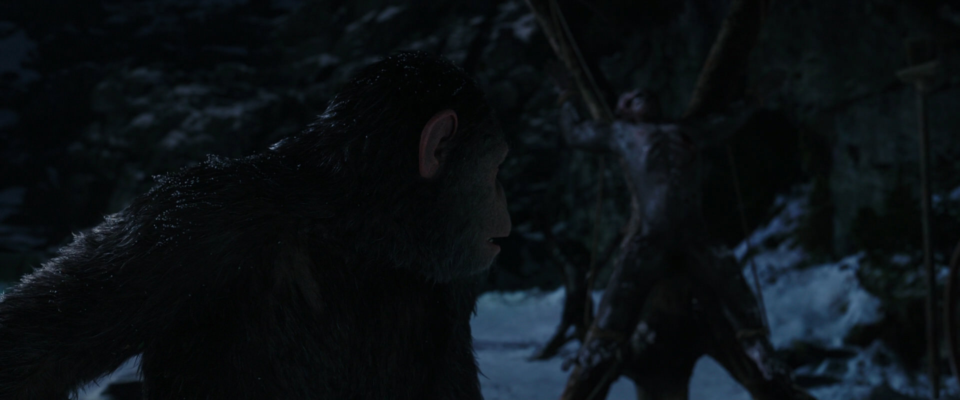 War for the Planet of the Apes (2017) movie still 7012