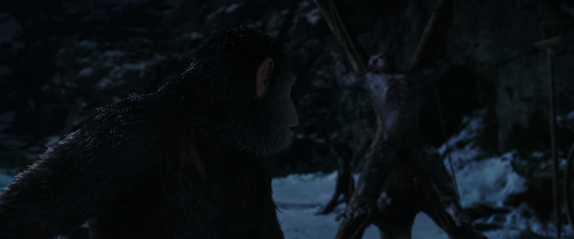 War for the Planet of the Apes (2017) HD screenshot 7013