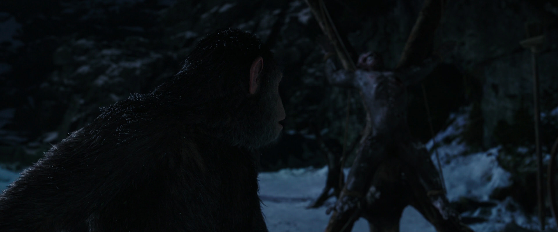 War for the Planet of the Apes (2017) screencap 7014